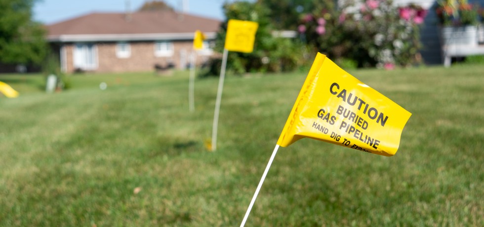 Yellow utility location flags in a line in a homeowner's yard.