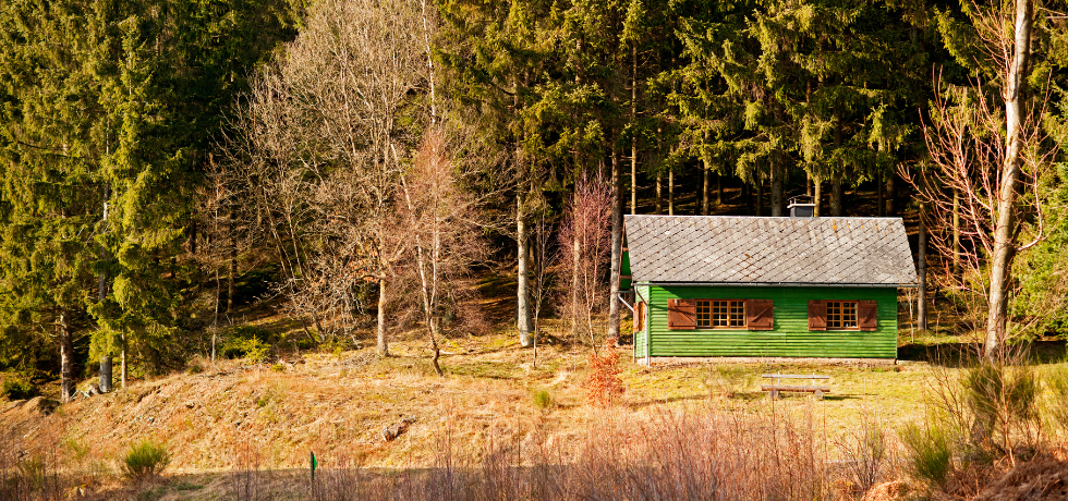 A cabin with green siding set in a wooded area.