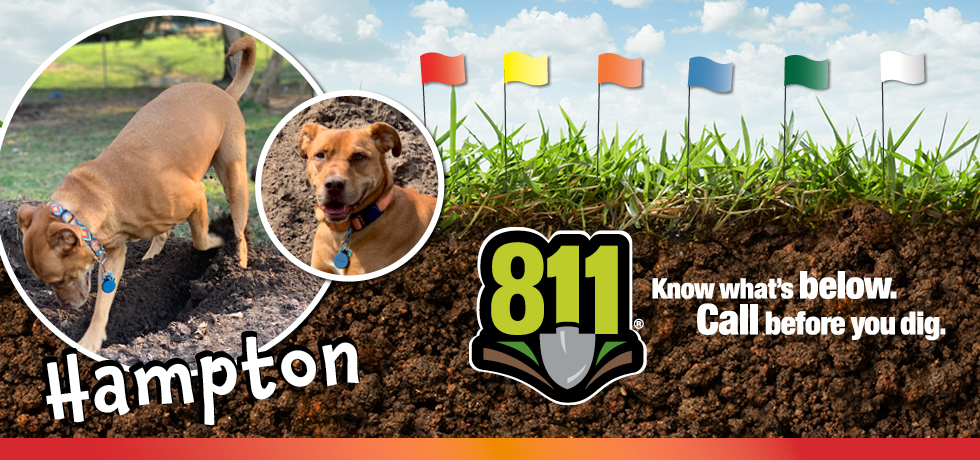 A graphic with two circular photos of a dog with brown hair next to a graphic of multi-colored flags and the 811 logo.
