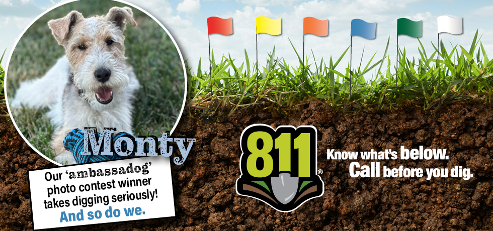 A graphic featuring a white and brown-haired dog inside a circular frame on the left side. On the right side is the 811 logo on top of a graphic of dirt, grass, and several small flags of different colors.